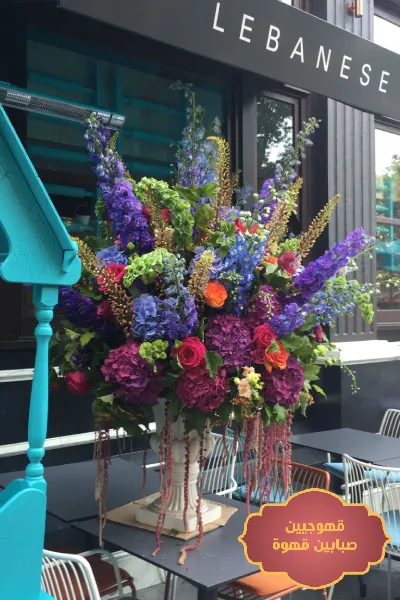 تنسيق افتتاح محل, تنسيق افتتاح محلات, تنسيق افتتاح مطعم