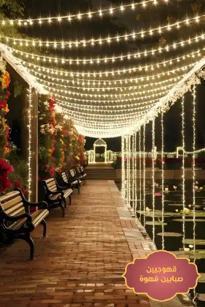 تاجير عقود لمبات,تاجير عقود لمبات بالرياض,تاجير لمبات الاعراس
