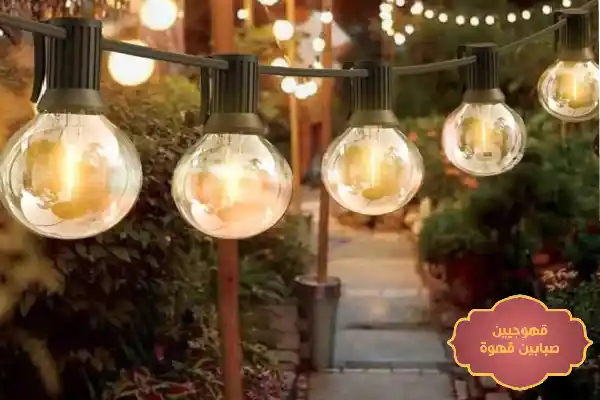 تاجير عقود لمبات,تاجير عقود لمبات بالرياض,تاجير لمبات الاعراس